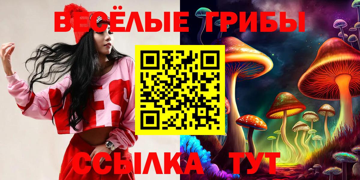 Псилоцибиновые грибы мицелий  Вход с VPN  Кольчугино 